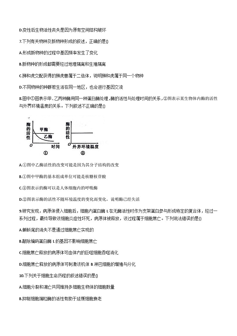 2023-2024学年河北省衡水市冀州中学高三上学期期中考试生物含答案03