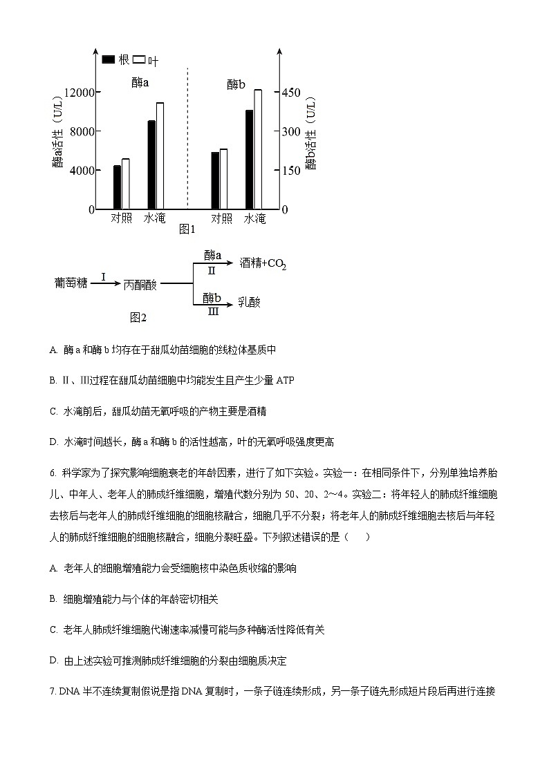2023-2024学年山东省滨州市高三上学期11月期中考试生物含解析03