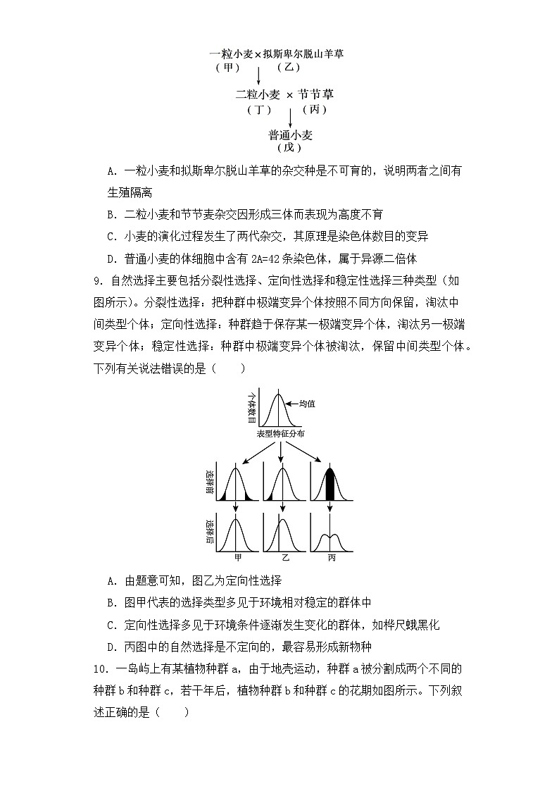 人教版高中生物必修二6.3.2 隔离在物种形成中的作用课件+同步分层练习（含答案解析）03