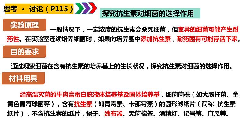 人教版高中生物必修二6.3.2 隔离在物种形成中的作用课件.pptx第2页