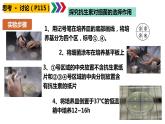 人教版高中生物必修二6.3.2 隔离在物种形成中的作用课件+同步分层练习（含答案解析）