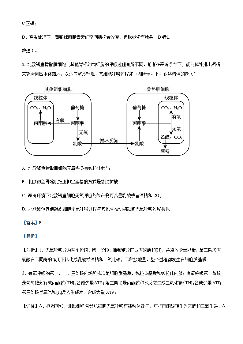 2023-2024学年福建省厦门市双十中学高三11月期中生物试题含解析02