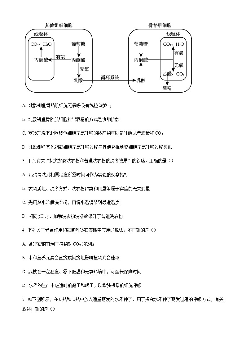 2023-2024学年福建省厦门市双十中学高三11月期中生物试题含解析02