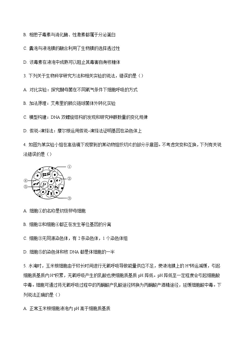 2023-2024学年广东省汕头市潮阳实验学校高三上学期期中考试生物含解析02