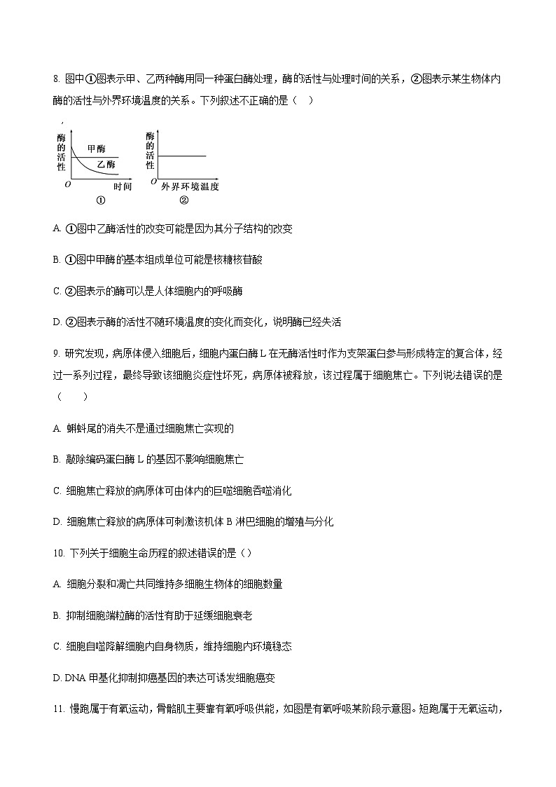 2023-2024学年河北省衡水市冀州中学高三上学期期中考试生物含解析03