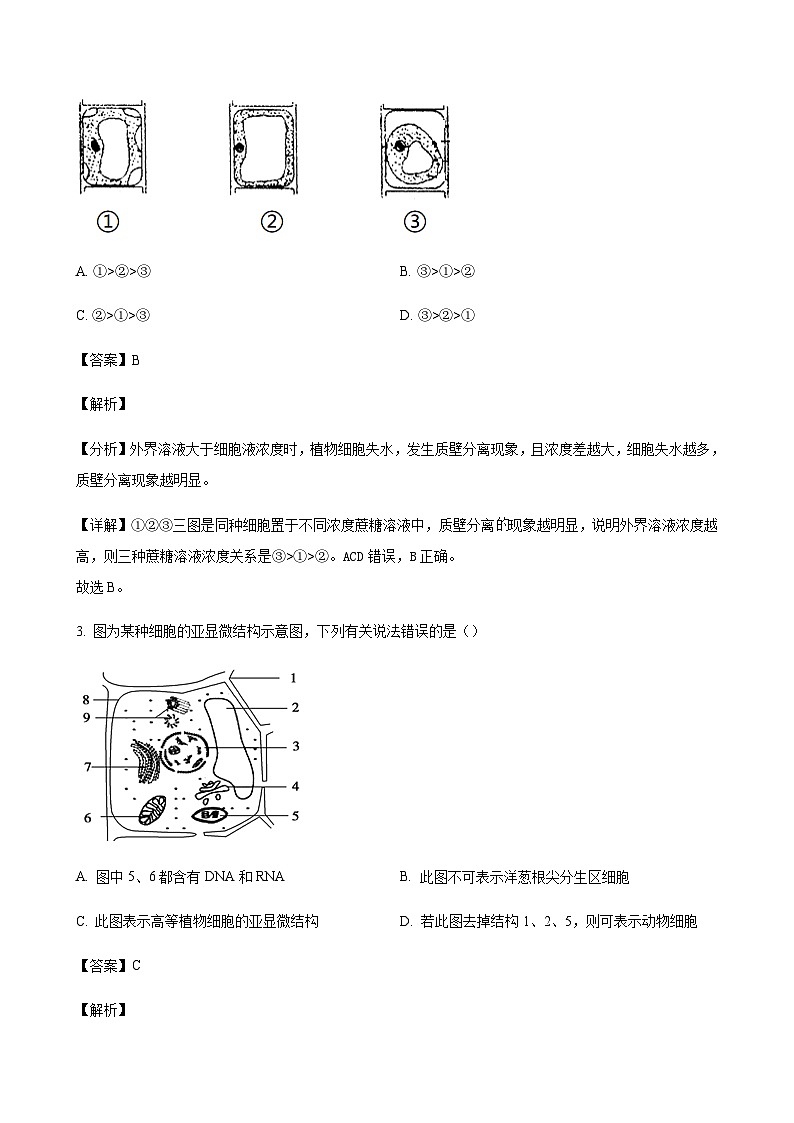 2023-2024学年河北省衡水市冀州中学高三上学期期中考试生物含解析02