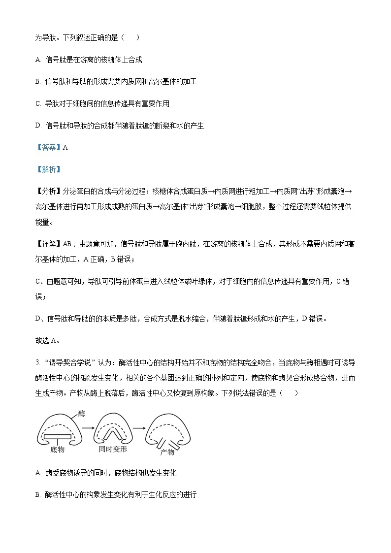 2023-2024学年湖北省武汉市华中师范大学第一附属中学高三上学期期中生物试题含解析02