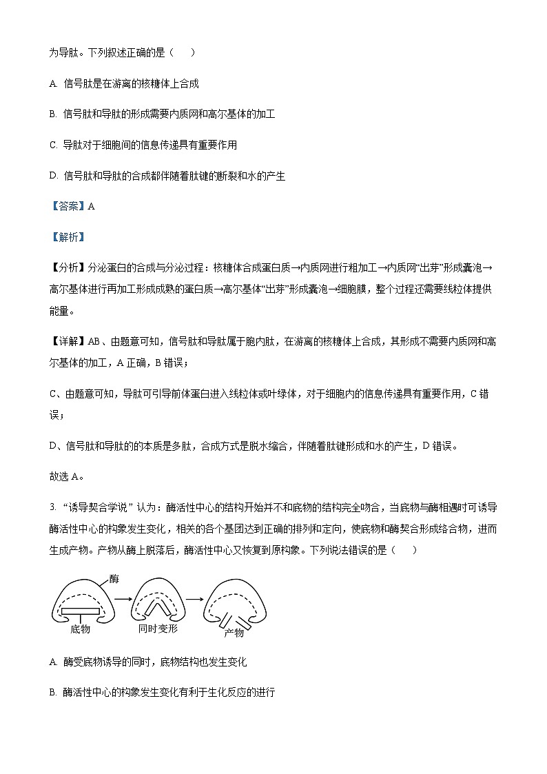 2023-2024学年湖北省武汉市华中师范大学第一附属中学高三上学期期中生物试题含解析02