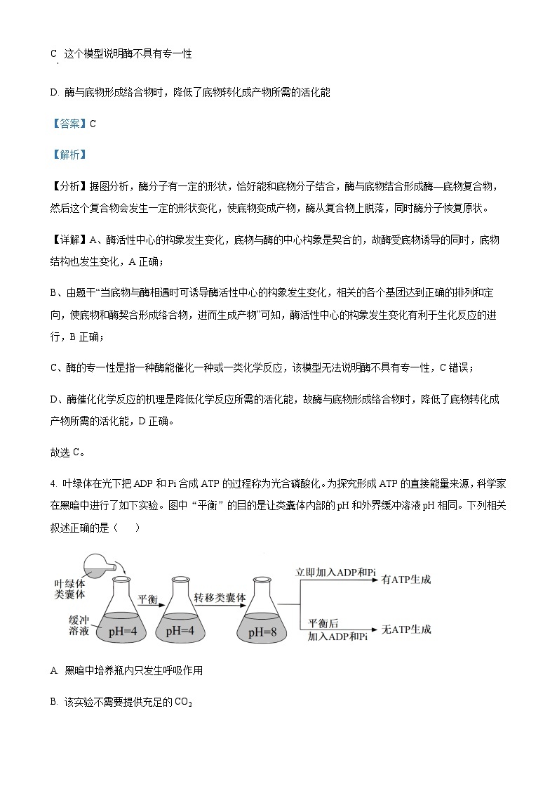 2023-2024学年湖北省武汉市华中师范大学第一附属中学高三上学期期中生物试题含解析03