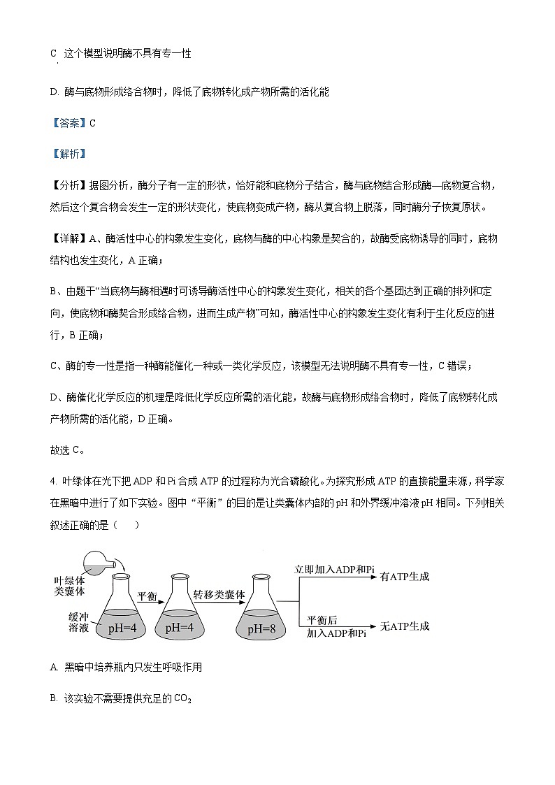 2023-2024学年湖北省武汉市华中师范大学第一附属中学高三上学期期中生物试题含解析03