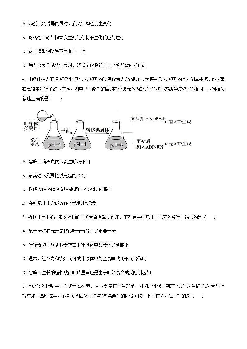 2023-2024学年湖北省武汉市华中师范大学第一附属中学高三上学期期中生物试题含解析02