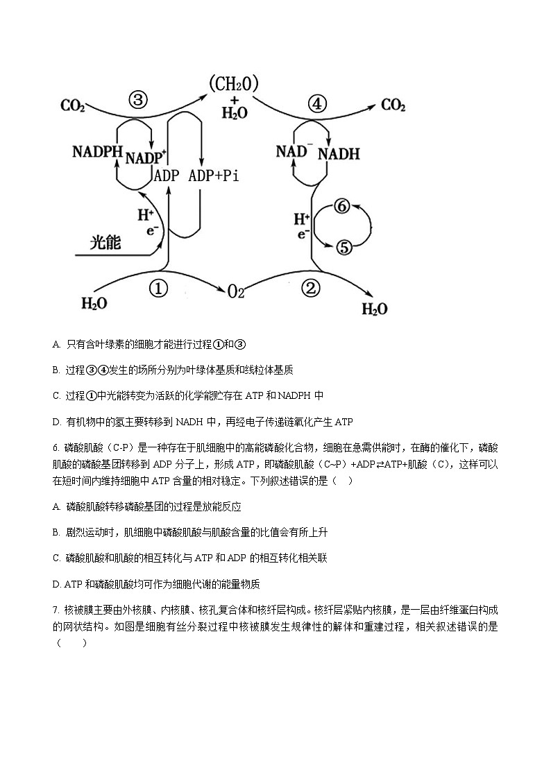 生物试题第3页