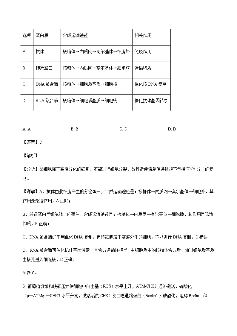 生物答案第2页