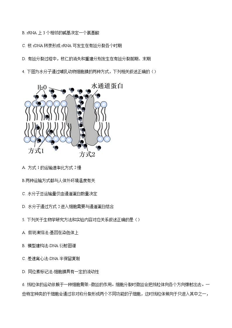 2023-2024学年江苏省盐城市中学高三上学期期中考试生物word版含答案02