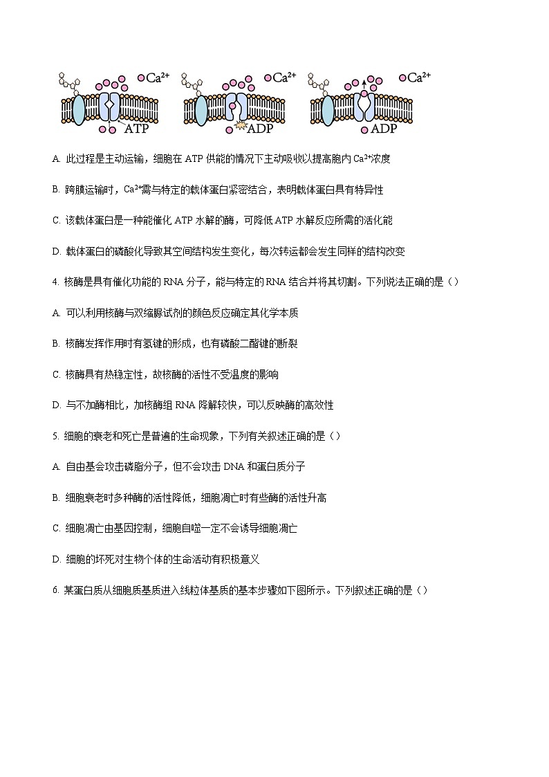 2023-2024学年江苏省扬州市中学高三上学期11月期中检测生物含解析02