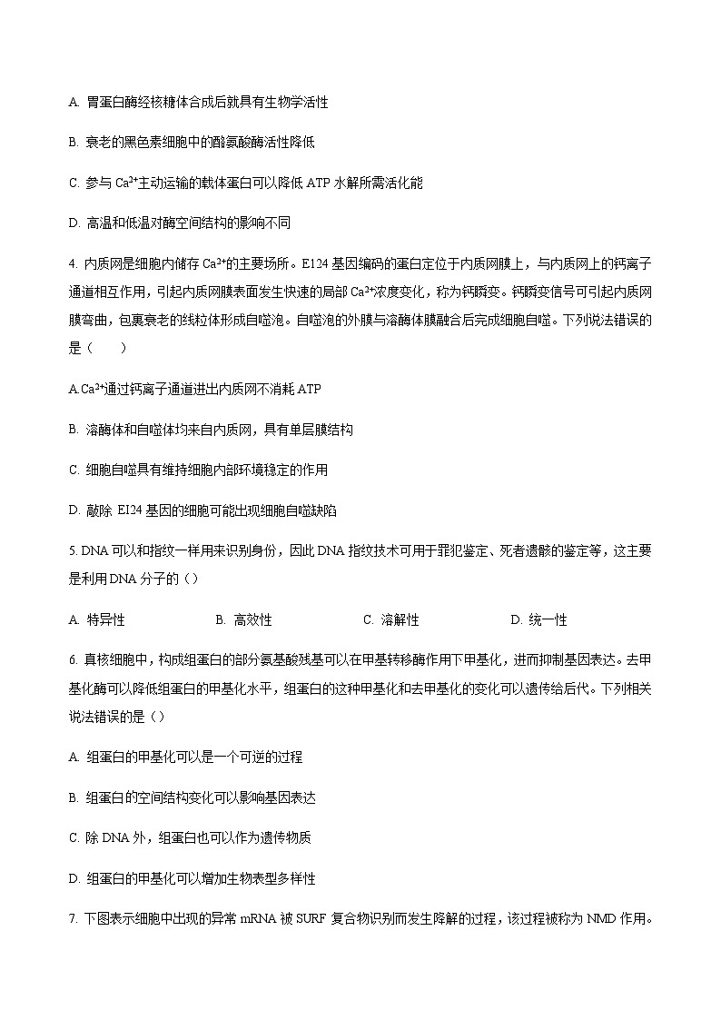 2023-2024学年辽宁省本溪市高级中学名校体高三上学期11月期中考试生物含解析02