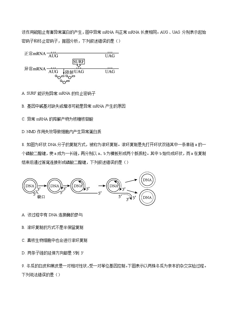 2023-2024学年辽宁省本溪市高级中学名校体高三上学期11月期中考试生物含解析03