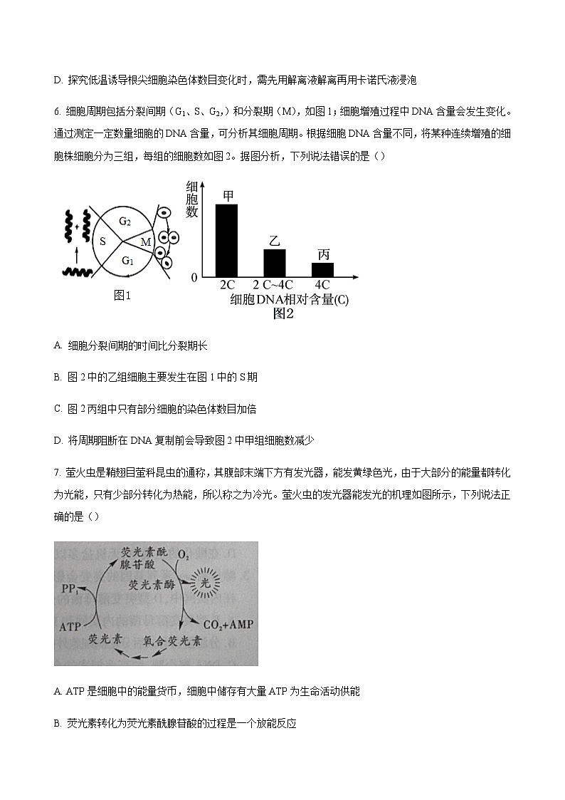 2023-2024学年辽宁省实验中学沈阳市重点高中联合体高三上学期期中考试生物含解析03