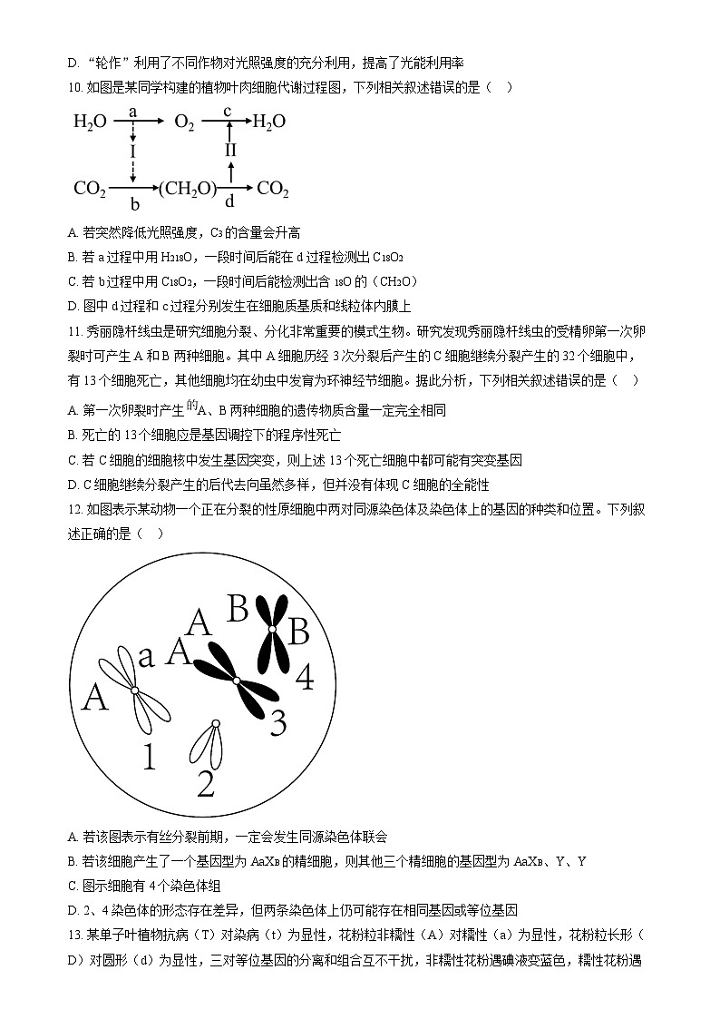 山西省运城市2023-2024学年高三上学期11月期中调研生物试题  Word版无答案第3页