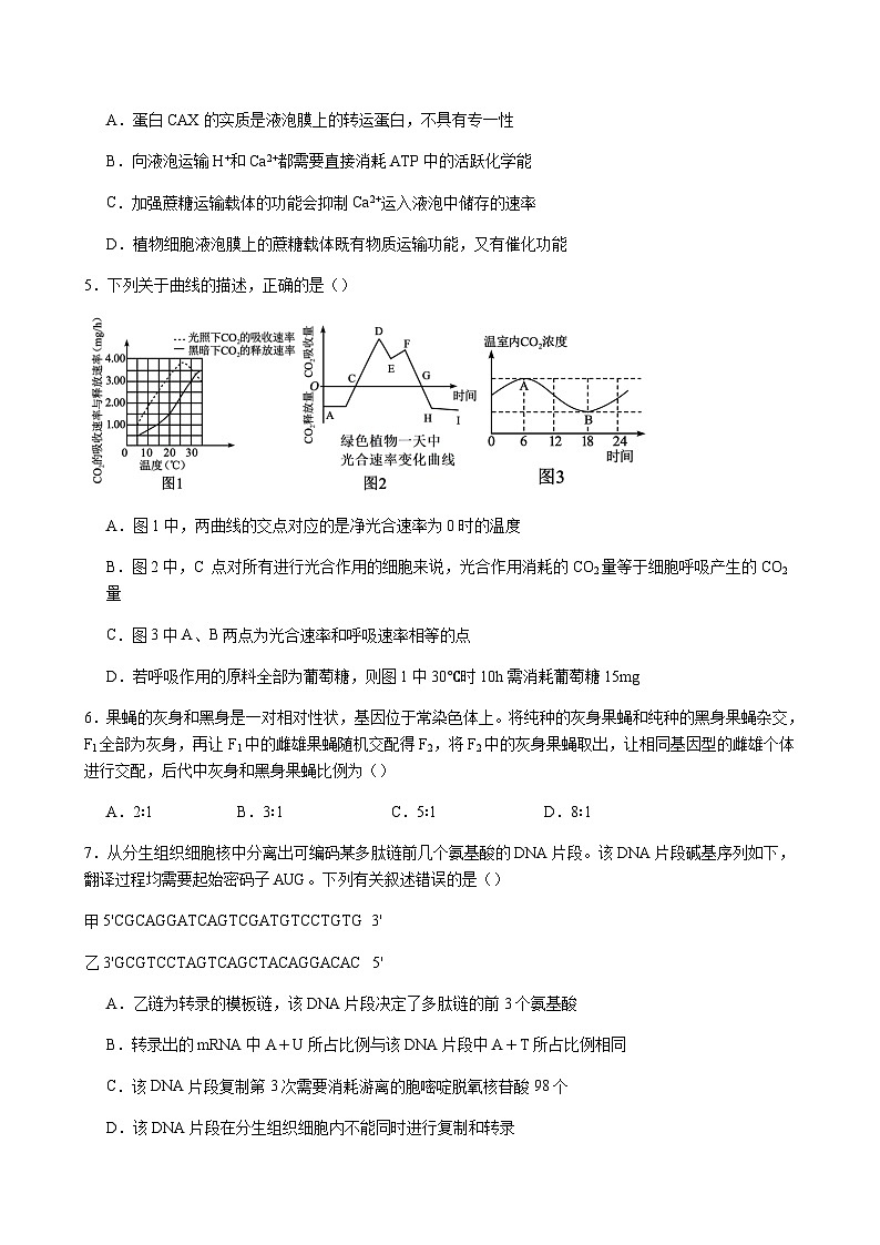 2024届江西省宜春市宜丰中学高三上学期11月期中考试生物word版含答案02