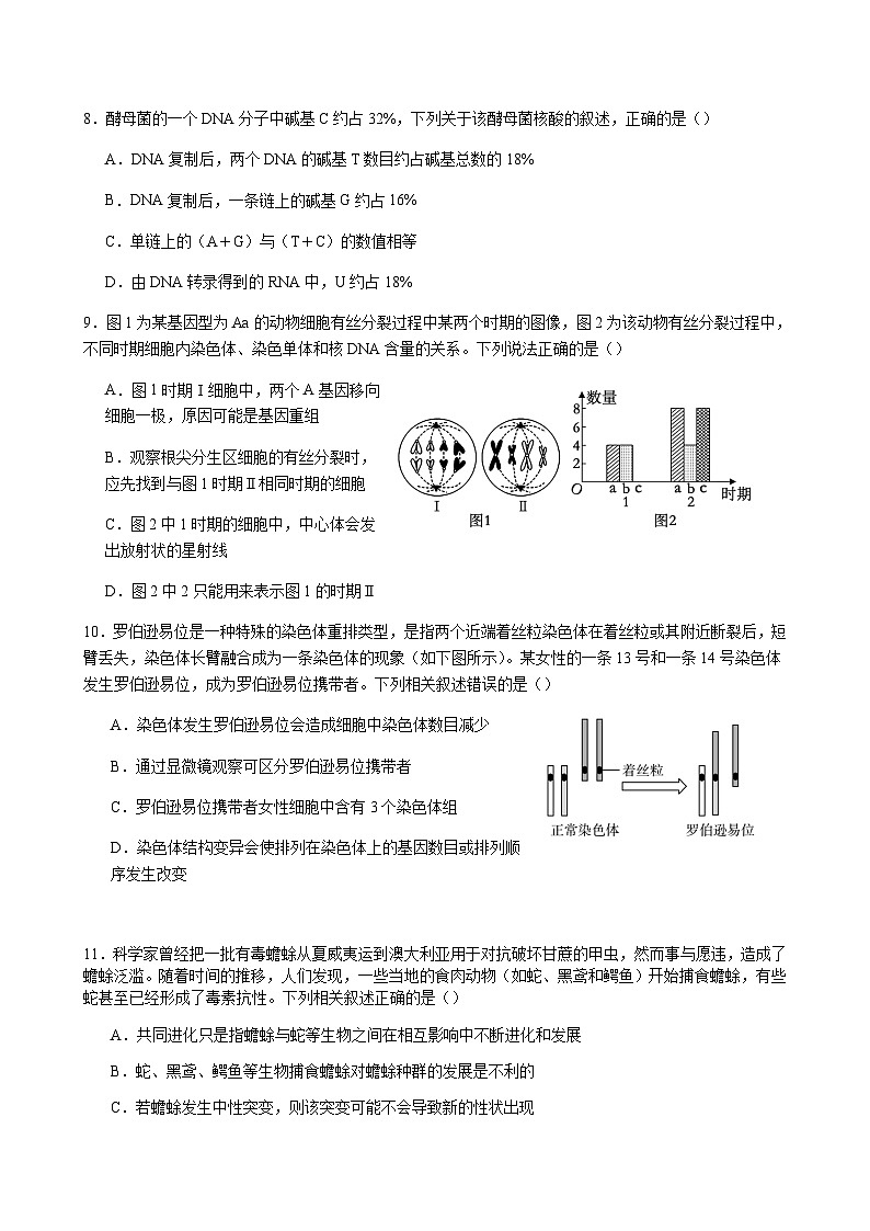 2024届江西省宜春市宜丰中学高三上学期11月期中考试生物含解析03