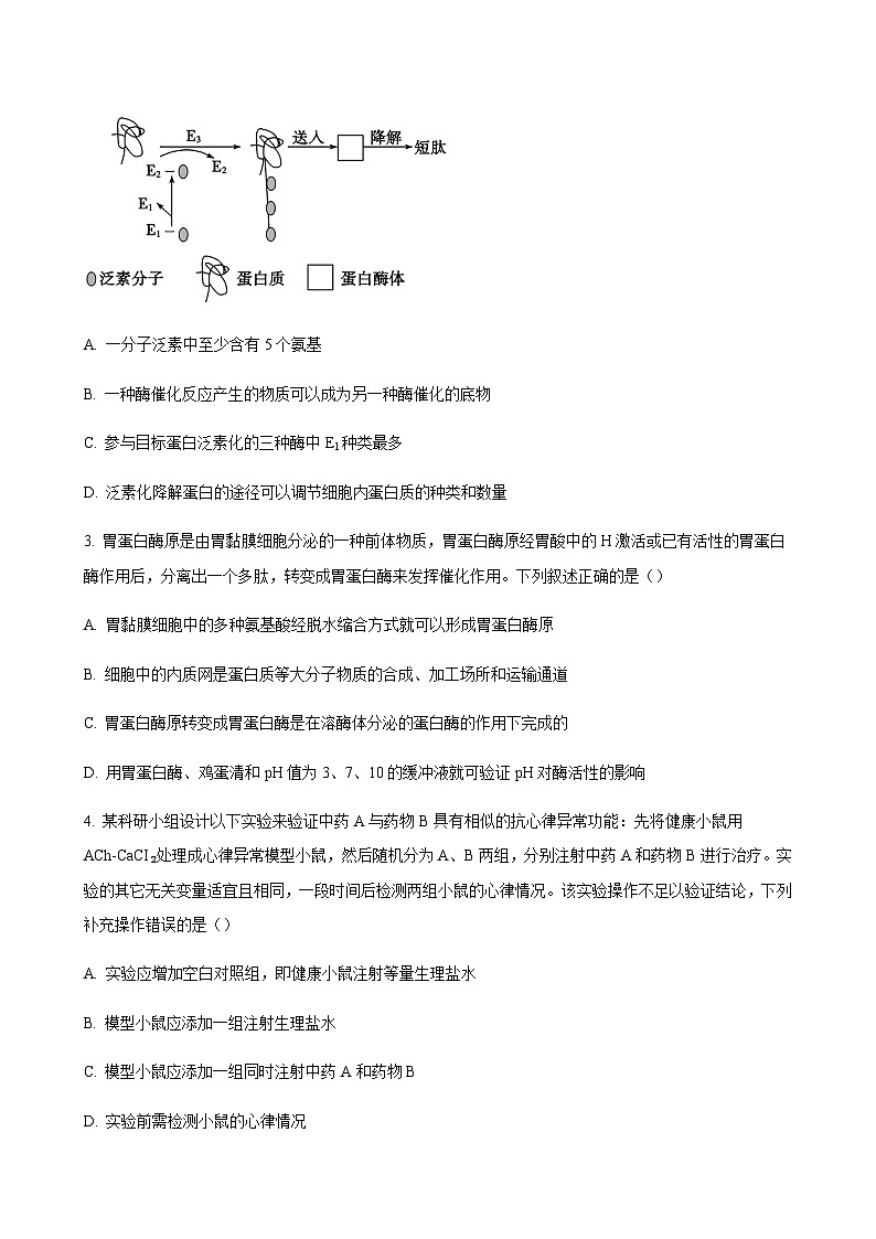 生物试题第2页