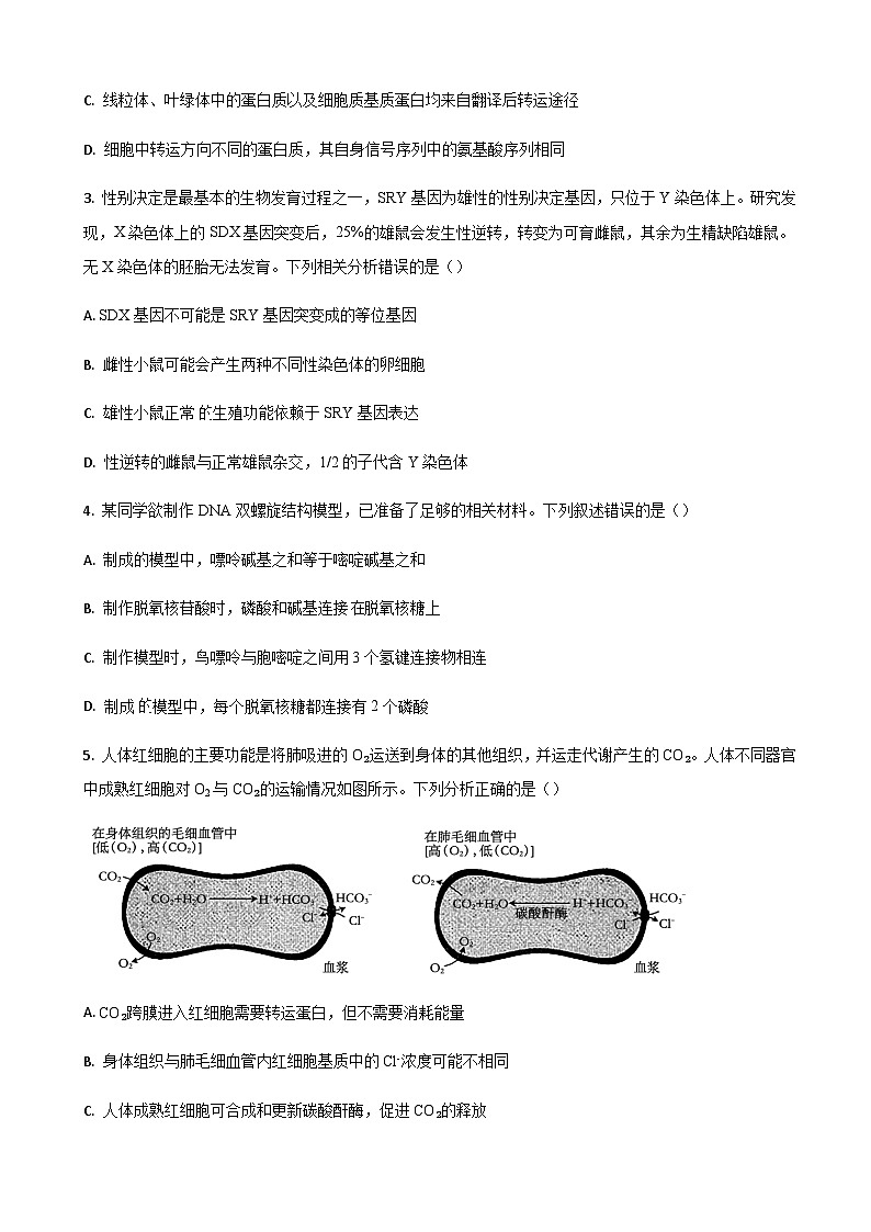 山东省济南市莱芜第一中学2024届高三上学期期中考试生物试题第2页
