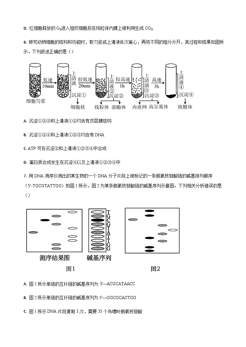 山东省济南市莱芜第一中学2024届高三上学期期中考试生物试题第3页