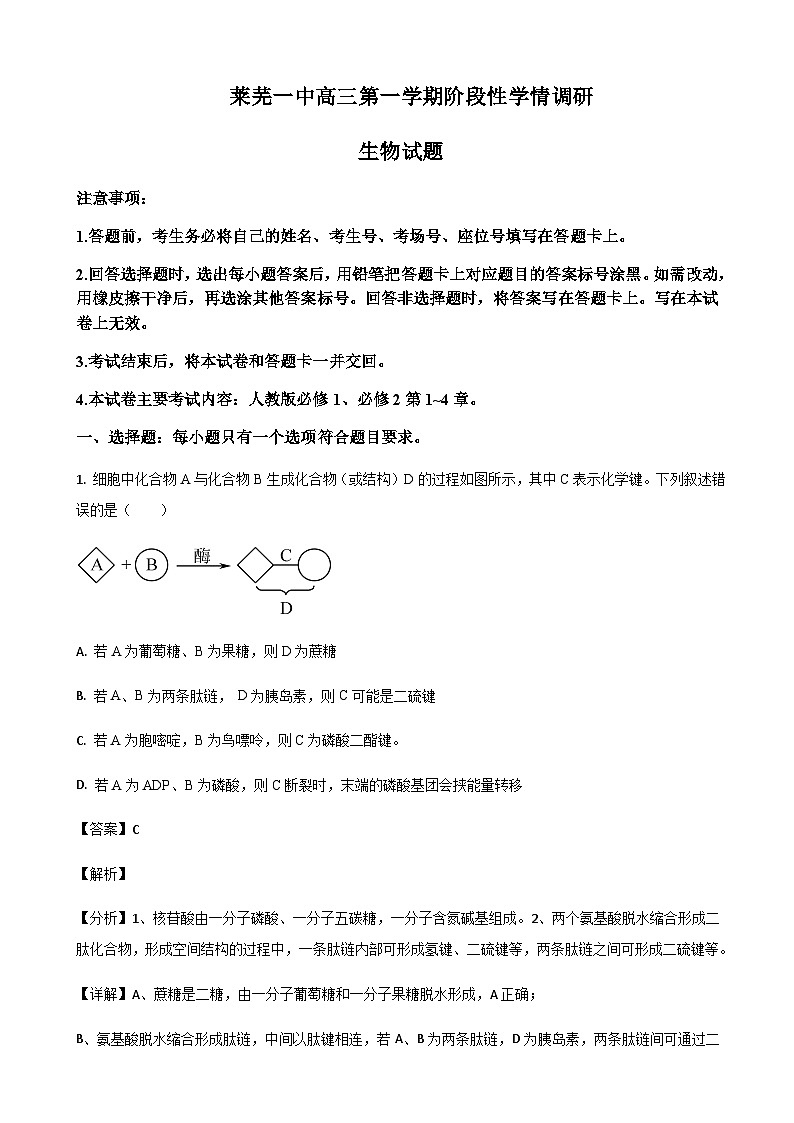 山东省济南市莱芜第一中学2024届高三上学期期中考试生物试题 word版含解析第1页