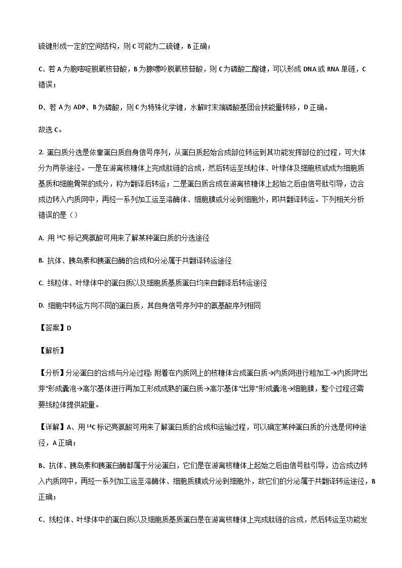 山东省济南市莱芜第一中学2024届高三上学期期中考试生物试题 word版含解析第2页