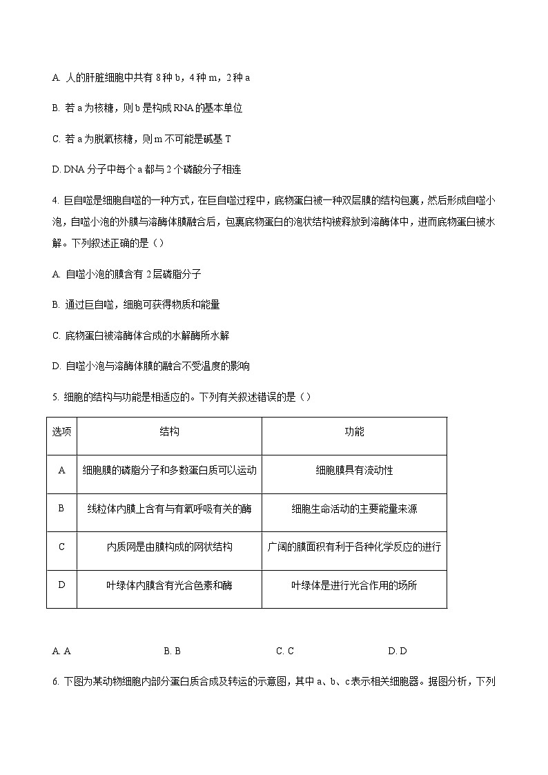 2024届陕西省安康市高三上学期期中考试生物含解析02