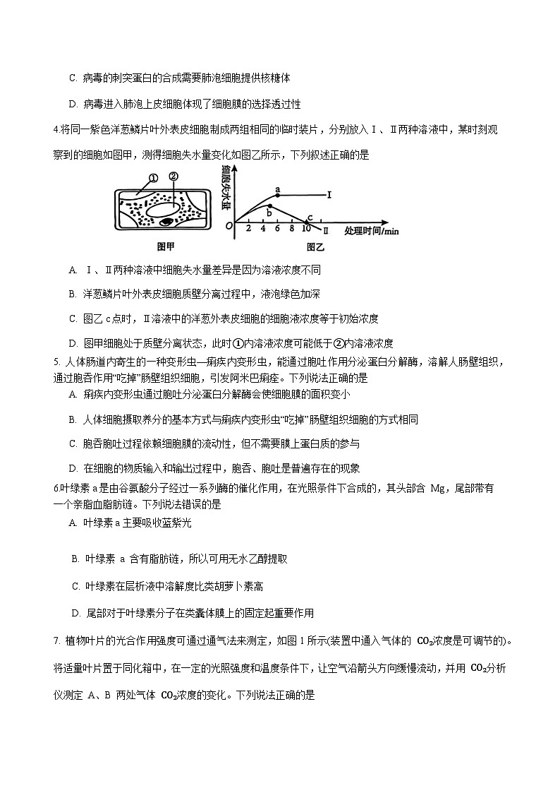 2024届重庆市重庆市第十一中学主城九龙坡区高三第一学期期中考试生物word版含答案02