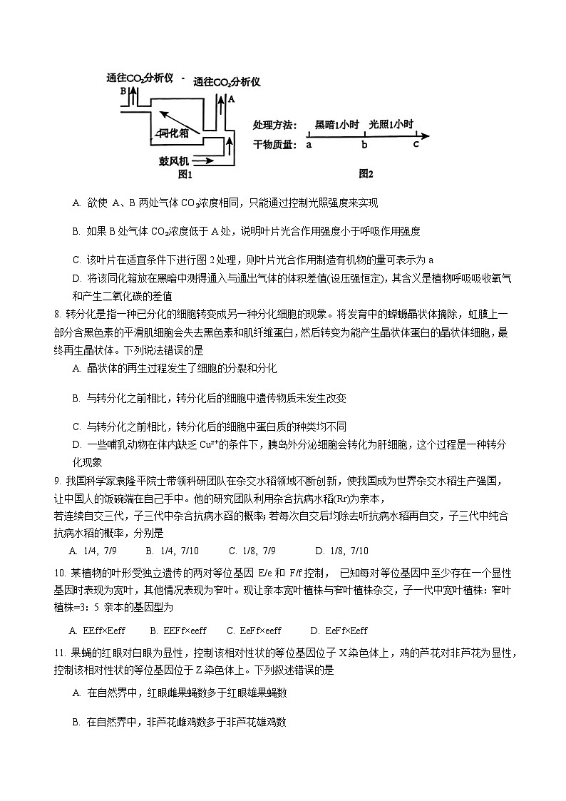 2024届重庆市重庆市第十一中学主城九龙坡区高三第一学期期中考试生物word版含答案03