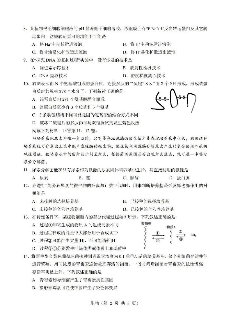 浙江省台州名校联盟2023-2024学年高三上学期联考 生物试题及答案02