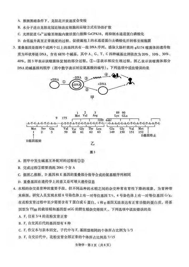重庆市第八中学2023-2024学年高三上学期适应性月考卷（四）生物试题02