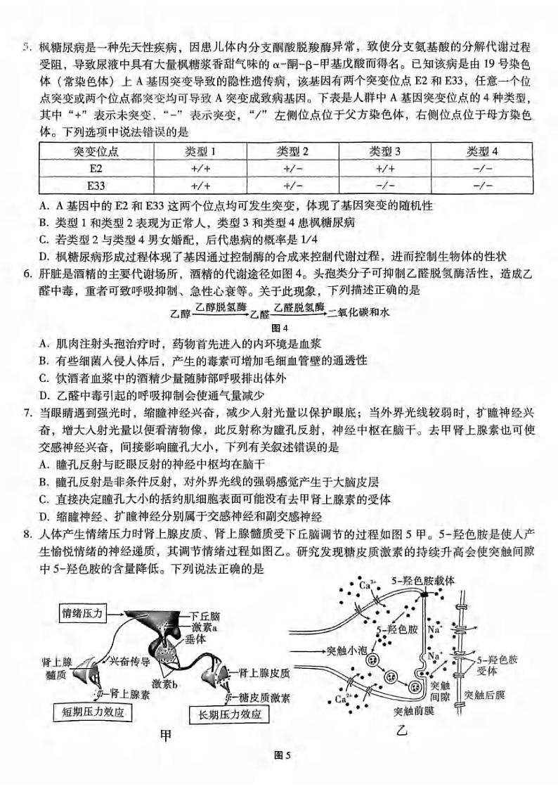 重庆市第八中学2023-2024学年高三上学期适应性月考卷（四）生物试题03
