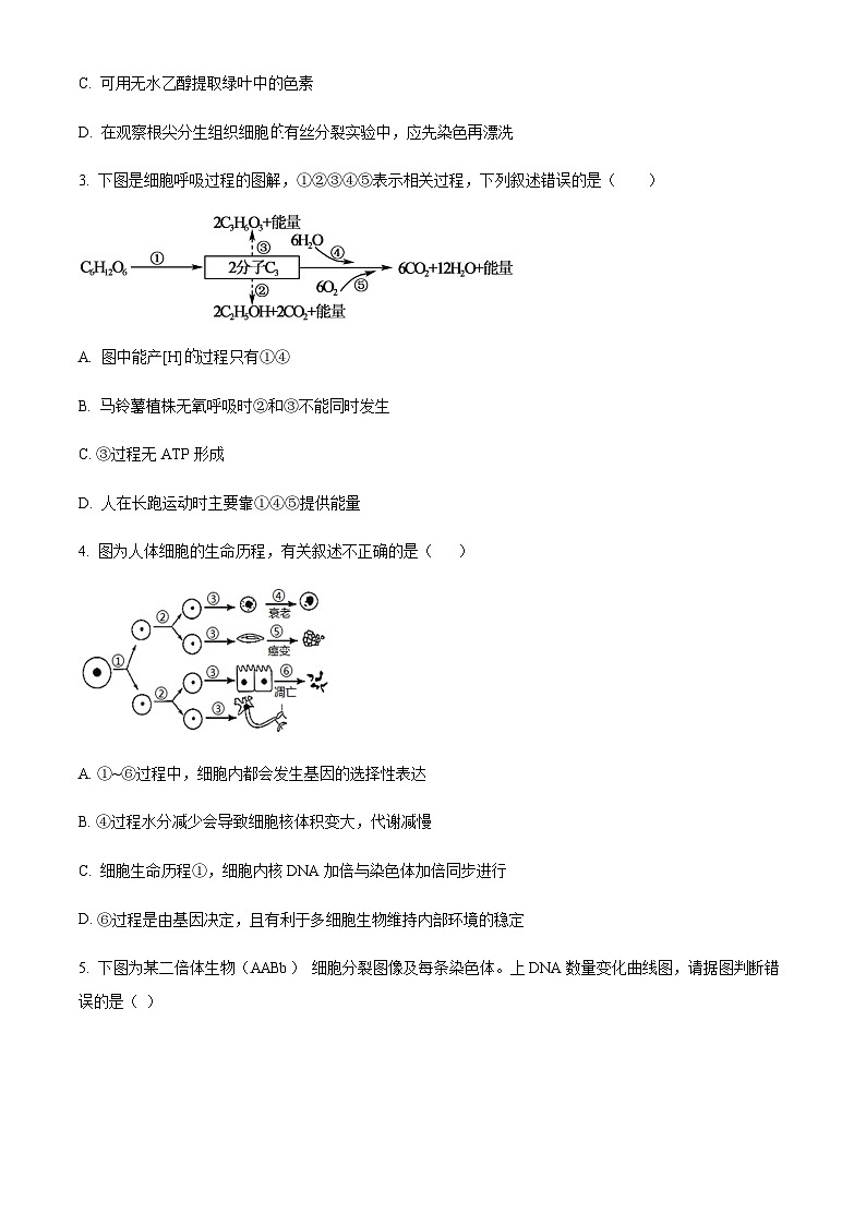 2023-2024学年四川省遂宁市射洪中学高三10月月考理综生物试题含解析02