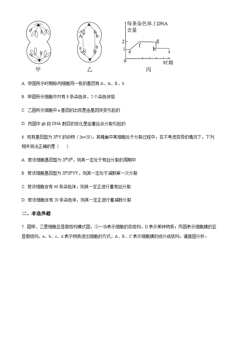 2023-2024学年四川省遂宁市射洪中学高三10月月考理综生物试题含解析03