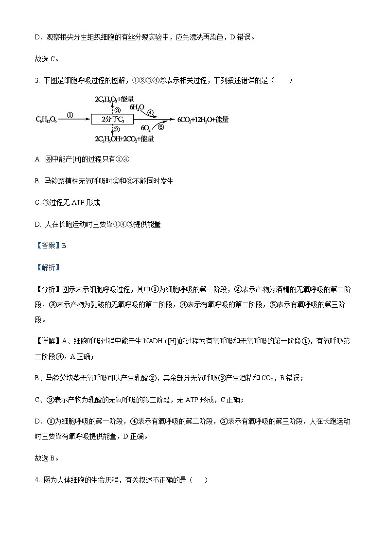 2023-2024学年四川省遂宁市射洪中学高三10月月考理综生物试题含解析03