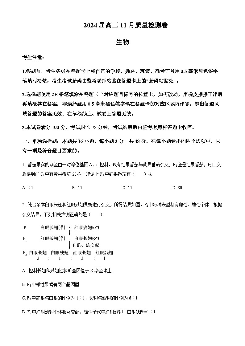 2023-2024学年安徽省合肥市第四中学等校高三11月月考生物试题  Word版无答案第1页