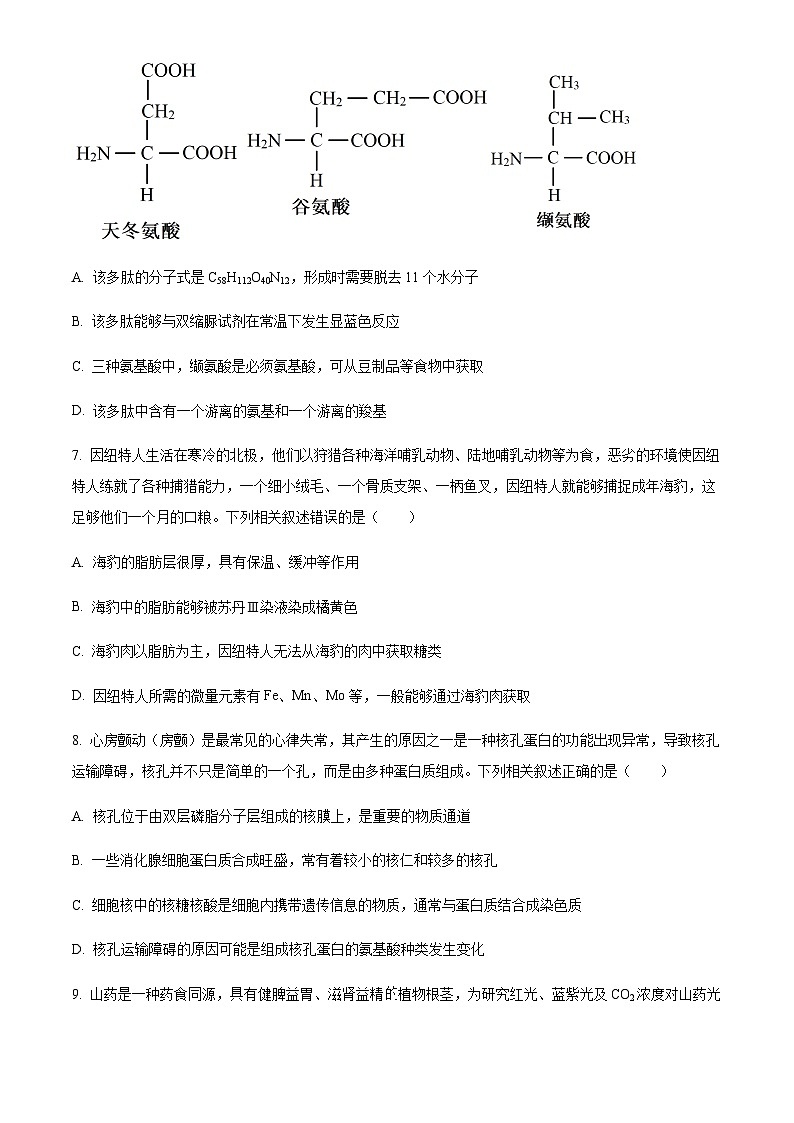 2023-2024学年安徽省合肥市第四中学等校高三11月月考生物试题  Word版无答案第3页