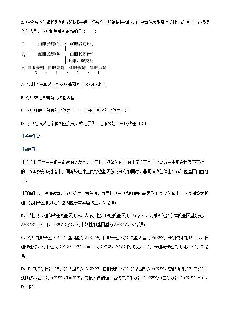 2023-2024学年安徽省合肥市第四中学等校高三11月月考生物试题  Word版含解析第2页