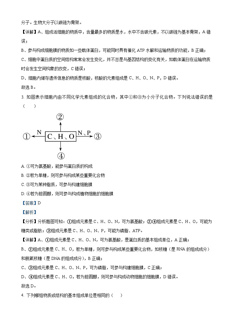 四川省南充市西充中学2023-2024学年高三上学期8月月考生物试题（Word版附解析）02
