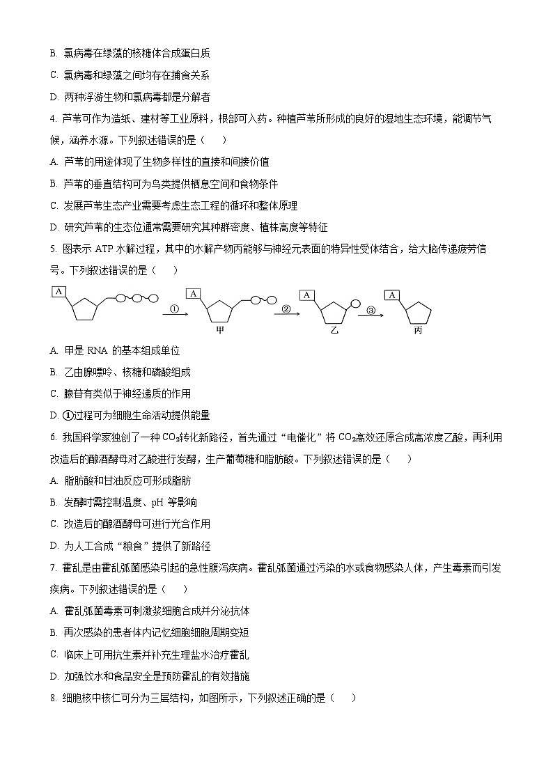 广东省汕头市2023-2024学年高三上学期12月期中考试生物试卷（Word版附解析）第2页