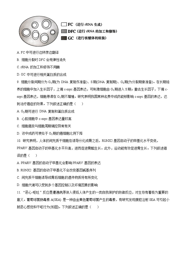 广东省汕头市2023-2024学年高三上学期12月期中考试生物试卷（Word版附解析）第3页