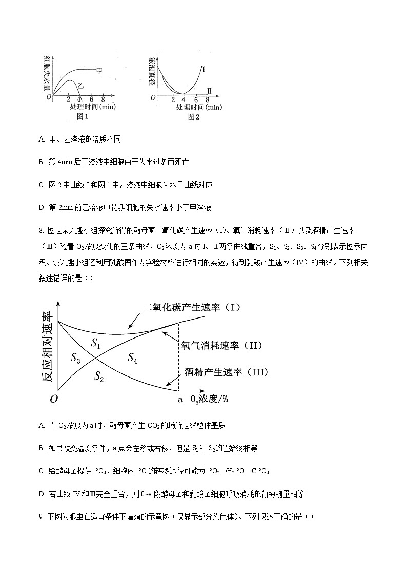 生物试题第3页