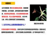 人教版高中生物必修二6.4协同进化与生物多样性的形成同步课件+同步分层练习（含答案解析）