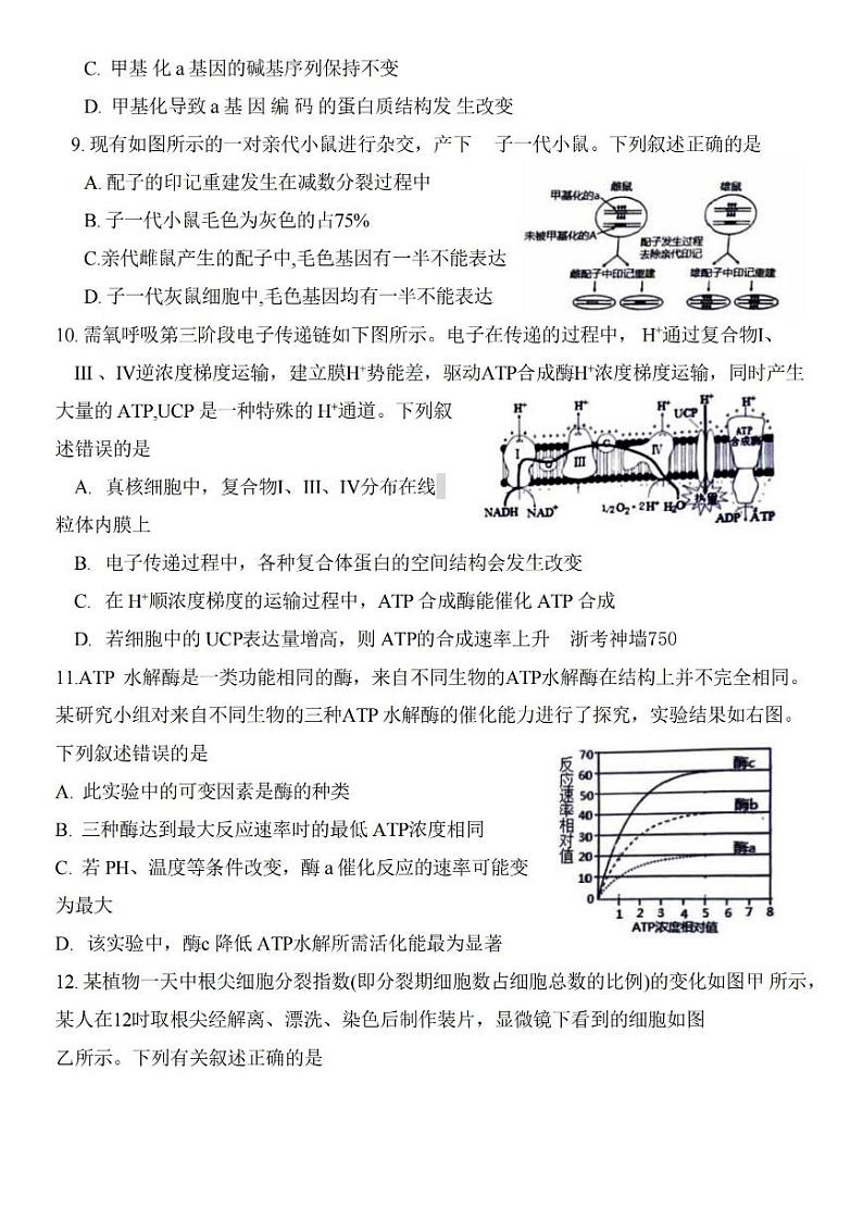 生物-浙江省绍兴市2023-2024学年高三上学期11月选考科目诊断性考试试题和答案第3页