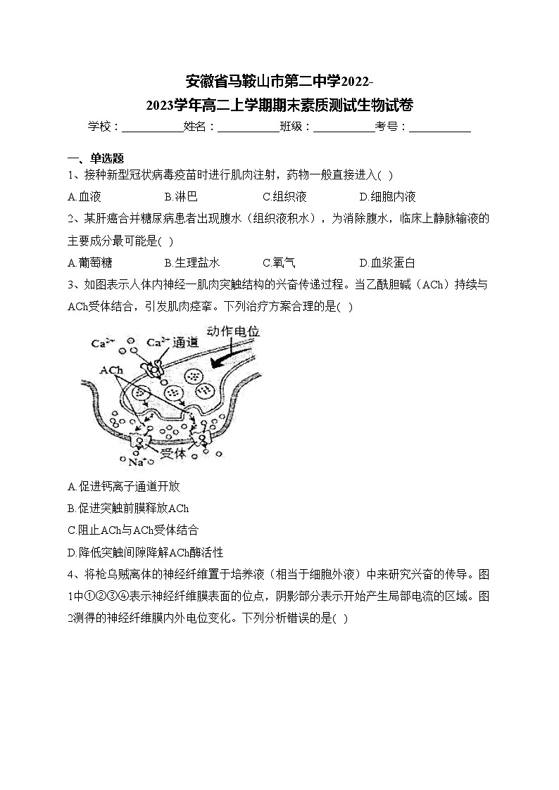 安徽省马鞍山市第二中学2022-2023学年高二上学期期末素质测试生物试卷(含答案)01