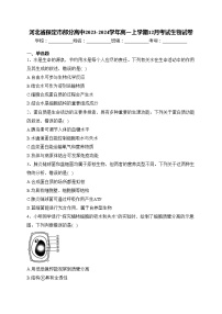 河北省保定市部分高中2023-2024学年高一上学期12月考试生物试卷(含答案)